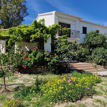 Cortijo Nerja Artist Paradise Exterior foto