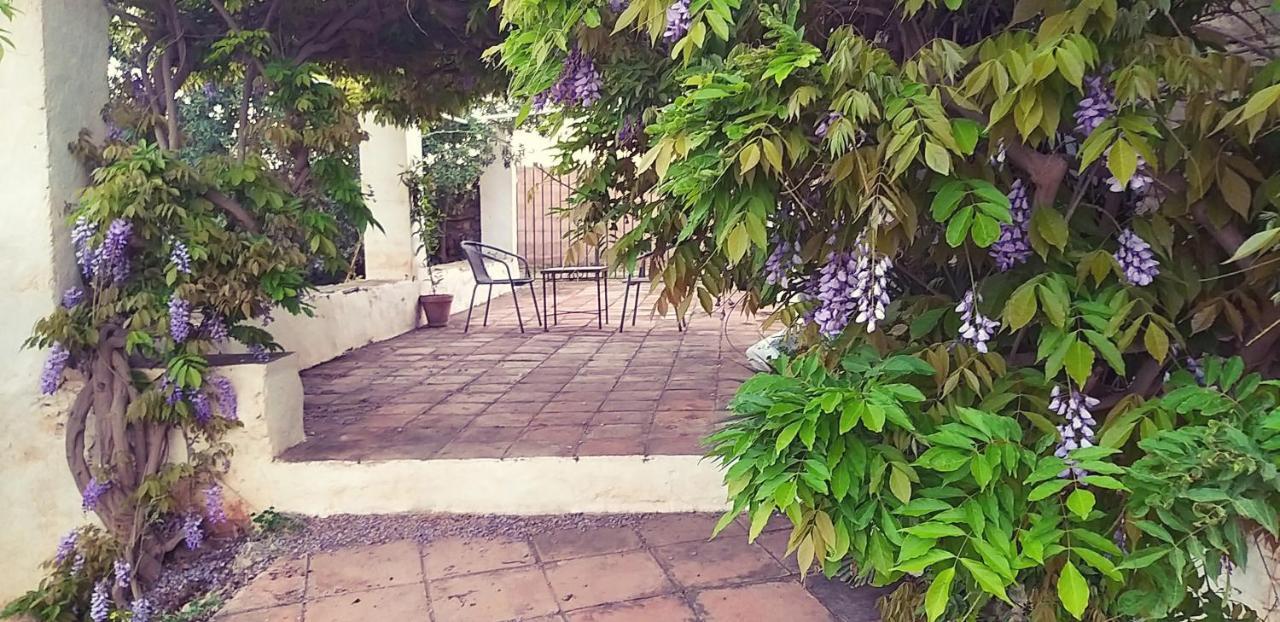 Cortijo Nerja Artist Paradise Exterior foto